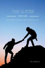 12 Step Intro Guide (Recovery Wisdom for Everyday Life)