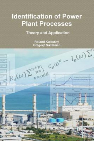 Identification of Power Plant Processes - Theory and Application