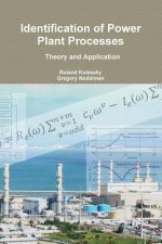 Identification of Power Plant Processes - Theory and Application