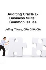 Auditing Oracle E-Business Suite: Common Issues