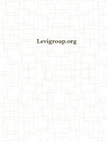 Levigroup.Org