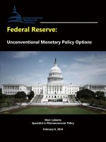 Federal Reserve: Unconventional Monetary Policy Options