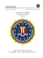 Financial Crimes Report to the Public (Fiscal Years 2010 - 2011)
