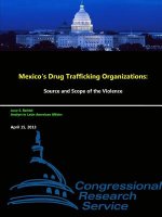 Mexico's Drug Trafficking Organizations: Source and Scope of the Violence