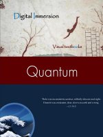 Quantum Text