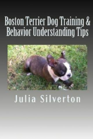 Boston Terrier Dog Training & Behavior Understanding Tips