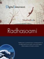 Radhasoami Texts