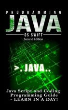 Programming Java: Java Programming, JavaScript, Coding: Programming Guide: Learn in A Day!