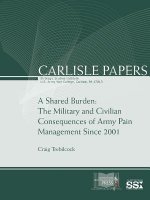 Shared Burden: the Military and Civilian Consequences of Army Pain Management Since 2001