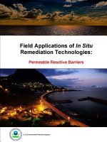 Field Applications of in Situ Remediation Technologies: Permeable Reactive Barriers