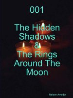 001 the Hidden Shadows & the Rings Around the Moon