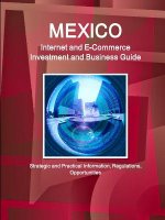 Mexico Internet and E-Commerce Investment and Business Guide - Strategic and Practical Information, Regulations, Opportunities