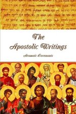 Apostolic Writings