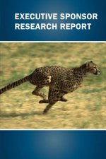 Executive Sponsor Research Report