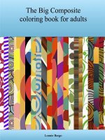 Big Composite Coloring Book for Adults