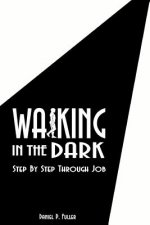 Walking in the Dark: Step by Step Through Job