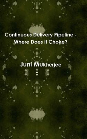 Continuous Delivery Pipeline - Where Does it Choke?