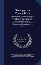 Cleanup of the Tijuana River
