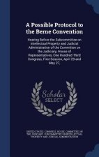 Possible Protocol to the Berne Convention