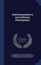 Scale Economies in New Software Development