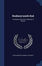Roxbury/South End