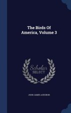 Birds of America, Volume 3