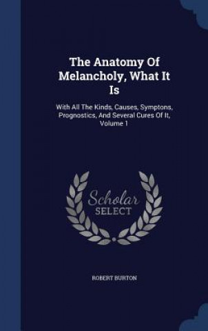 Anatomy of Melancholy, What It Is