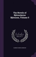 Novels of Bjornstjerne Bjornson, Volume 5