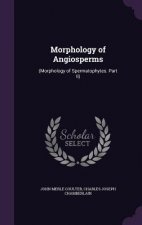 Morphology of Angiosperms