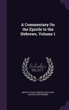 Commentary on the Epistle to the Hebrews, Volume 1