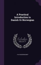Practical Introduction to Danish or Norwegian