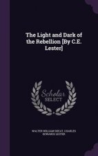 Light and Dark of the Rebellion [By C.E. Lester]