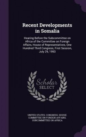 Recent Developments in Somalia