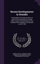 Recent Developments in Somalia