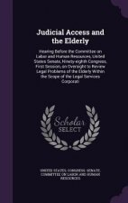 Judicial Access and the Elderly