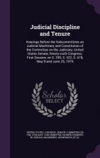 Judicial Discipline and Tenure