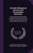 Juvenile Delinquency (Obscene and Pornographic Materials)