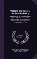 Cocaine and Federal Sentencing Policy