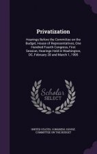 Privatization