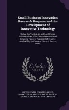 Small Business Innovation Research Program and the Development of Innovative Technology