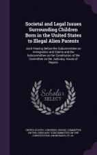 Societal and Legal Issues Surrounding Children Born in the United States to Illegal Alien Parents