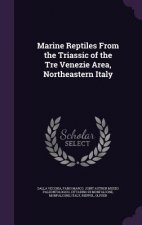 Marine Reptiles from the Triassic of the Tre Venezie Area, Northeastern Italy