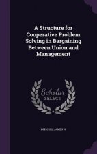 Structure for Cooperative Problem Solving in Bargaining Between Union and Management