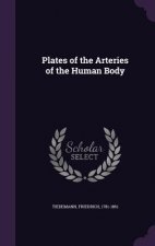 Plates of the Arteries of the Human Body