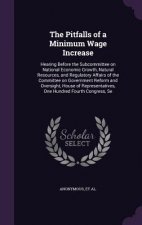 Pitfalls of a Minimum Wage Increase