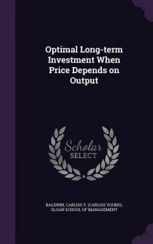 Optimal Long-Term Investment When Price Depends on Output