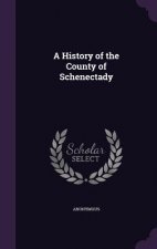 History of the County of Schenectady