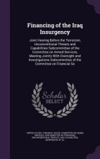 Financing of the Iraq Insurgency