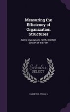 Measuring the Efficiency of Organization Structures