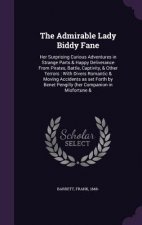 Admirable Lady Biddy Fane